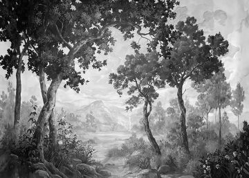 papier peint provence vintage motif de foret avec des grands arbres et un paysage noir et blanc
